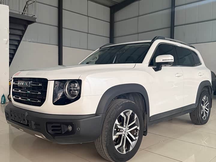 Фото 3 - Haval Dargo