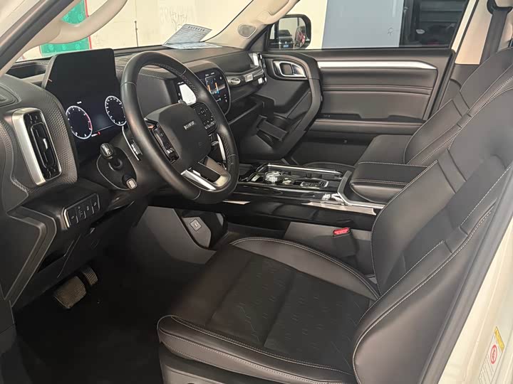 Фото 4 - Haval Dargo