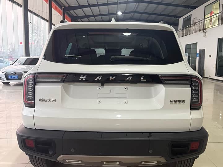 Фото 8 - Haval Dargo