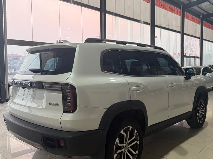 Фото 9 - Haval Dargo