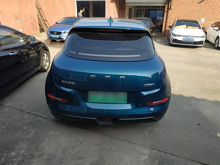 Фото 6 - Ora Good Cat (03)