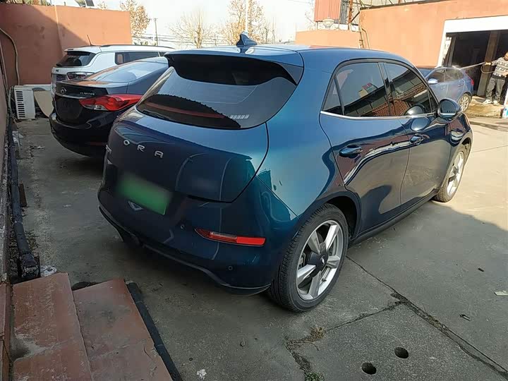 Фото 7 - Ora Good Cat (03)