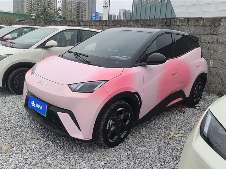 Фото 1 - BYD Seagull