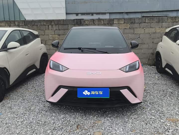 Фото 2 - BYD Seagull