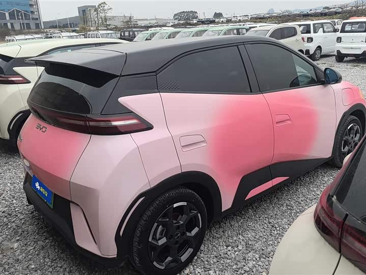 Фото 3 - BYD Seagull