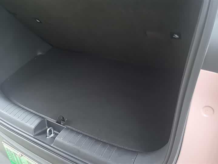 Фото 4 - BYD Seagull