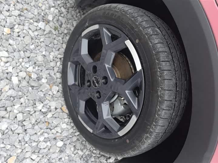 Фото 6 - BYD Seagull