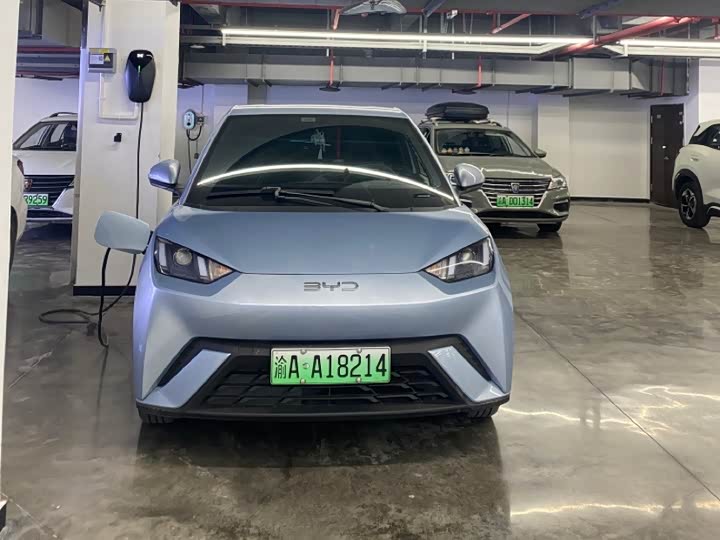 Фото 2 - BYD Seagull