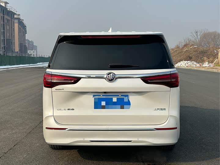 Фото 5 - Buick GL8 ES