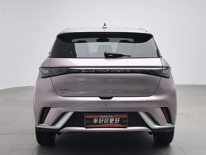 Фото 4 - BYD Dolphin