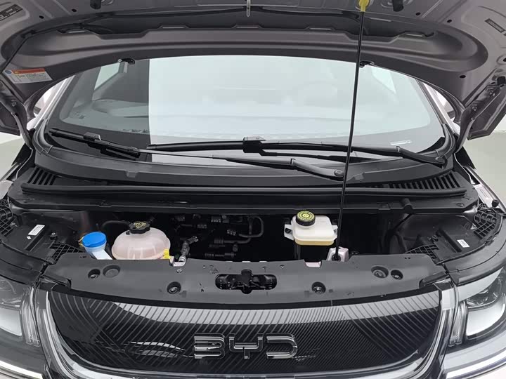 Фото 6 - BYD Dolphin