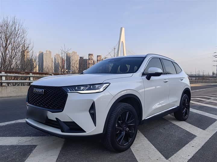 Фото 1 - Haval H6