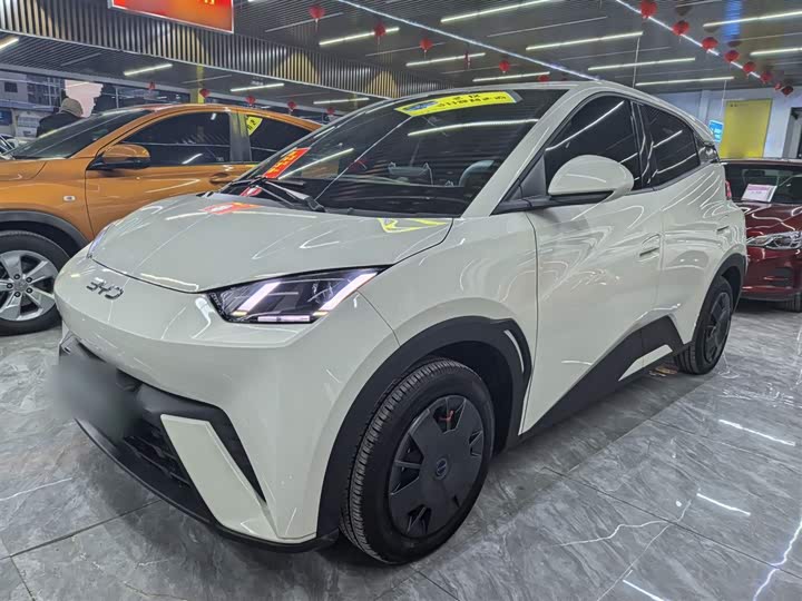 Фото 2 - BYD Seagull