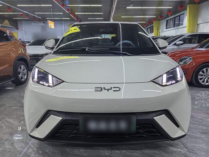 Фото 3 - BYD Seagull