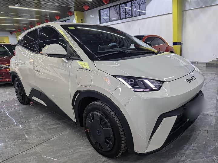 Фото 4 - BYD Seagull