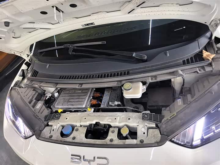 Фото 8 - BYD Seagull