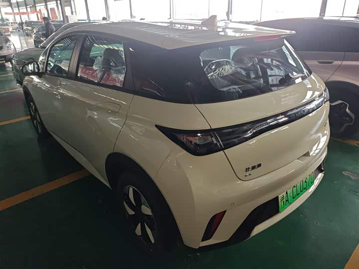 Фото 5 - BYD Dolphin