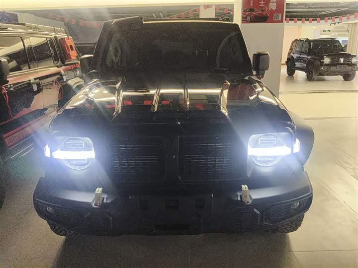 Фото 3 - Tank 300