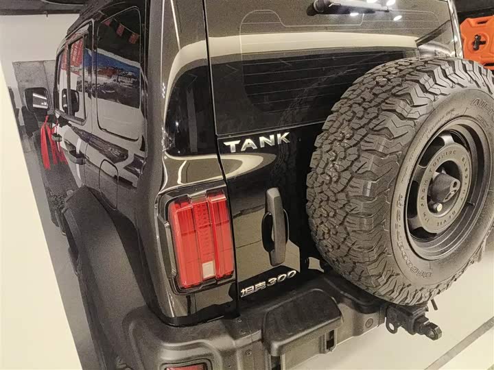 Фото 5 - Tank 300