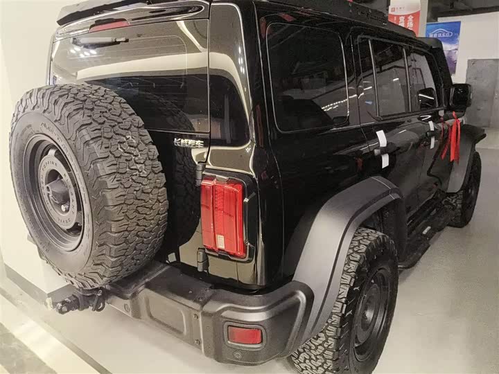 Фото 7 - Tank 300