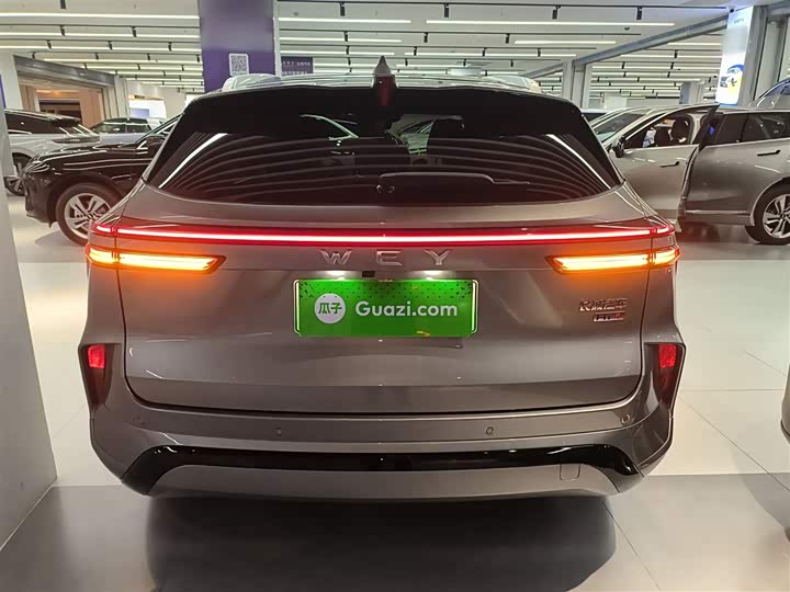 Фото 6 - Wey Mocca Hybrid