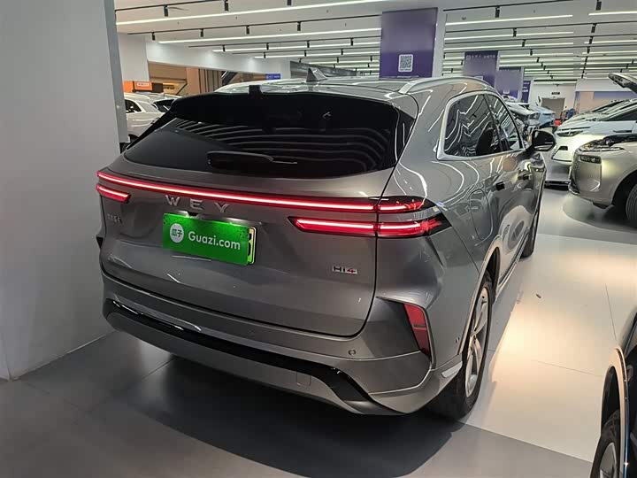 Фото 7 - Wey Mocca Hybrid