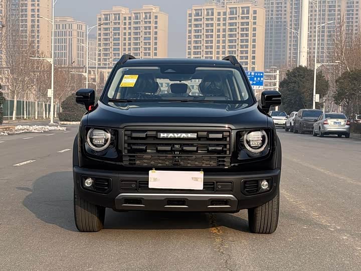 Фото 2 - Haval Dargo