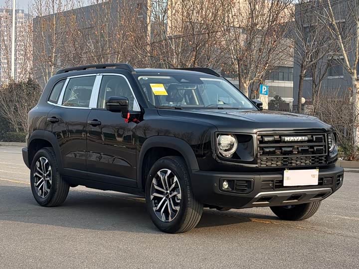 Фото 3 - Haval Dargo