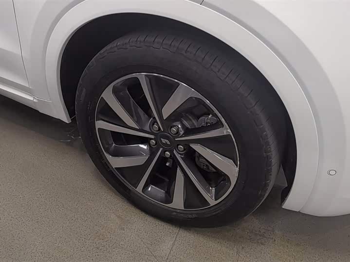 Фото 6 - LiXiang One