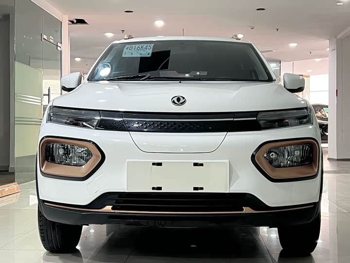 Фото 2 - Dongfeng Nammi Nano EX1