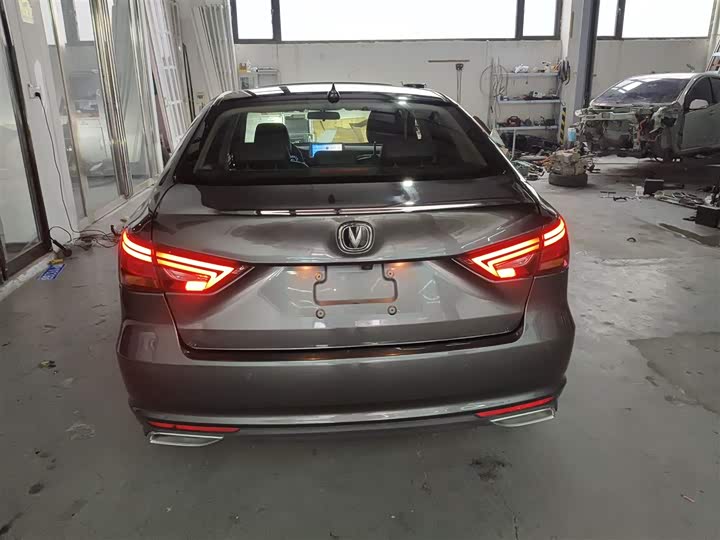 Фото 6 - Changan Raeton CC