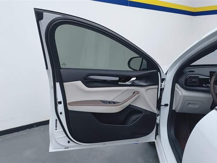 Фото 7 - BYD Qin Plus