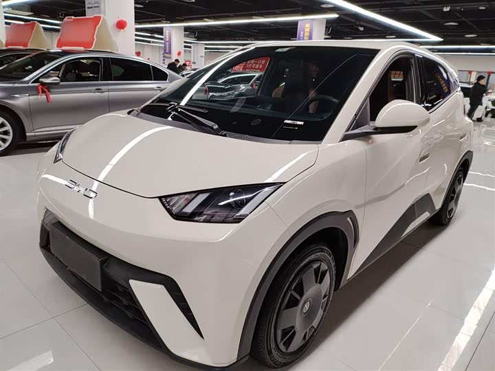 Фото 1 - BYD Seagull