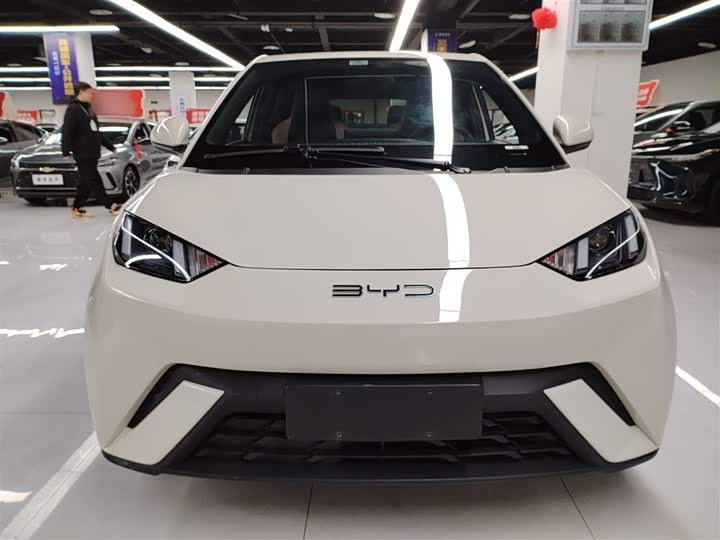 Фото 3 - BYD Seagull