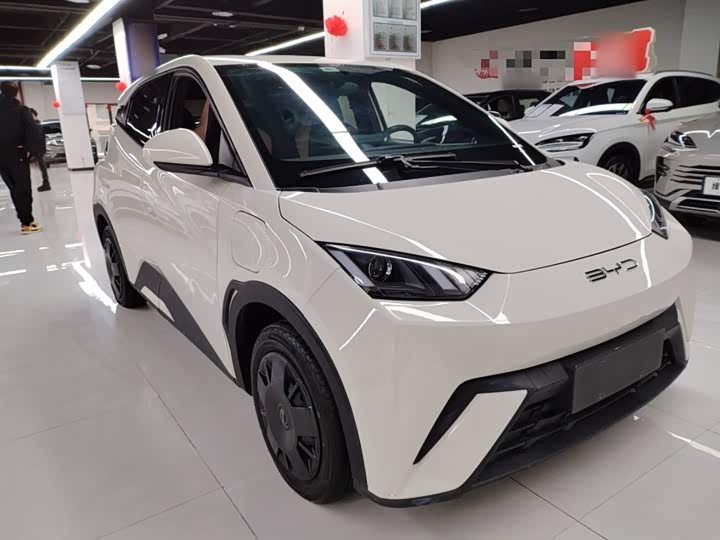 Фото 4 - BYD Seagull