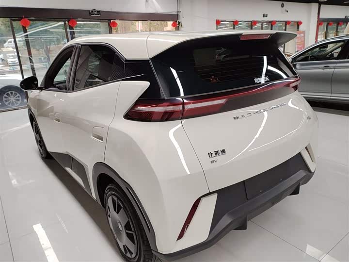 Фото 5 - BYD Seagull