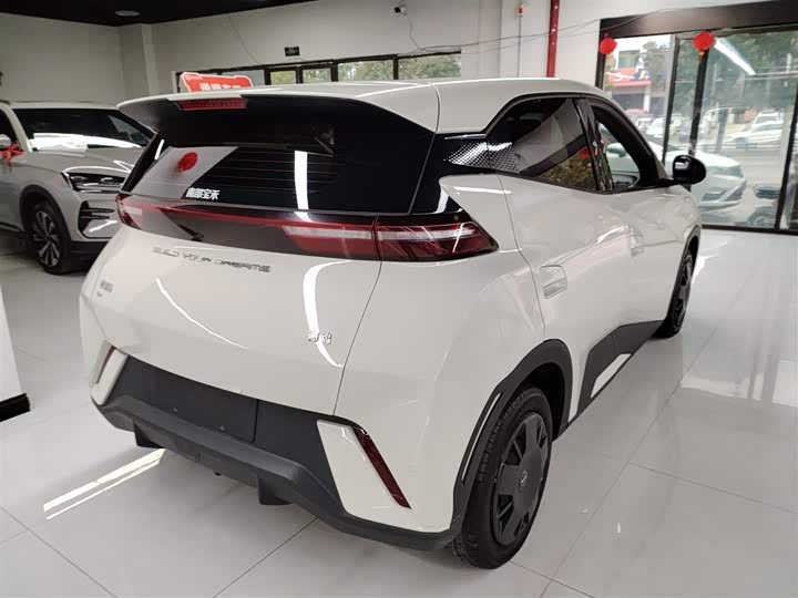 Фото 7 - BYD Seagull