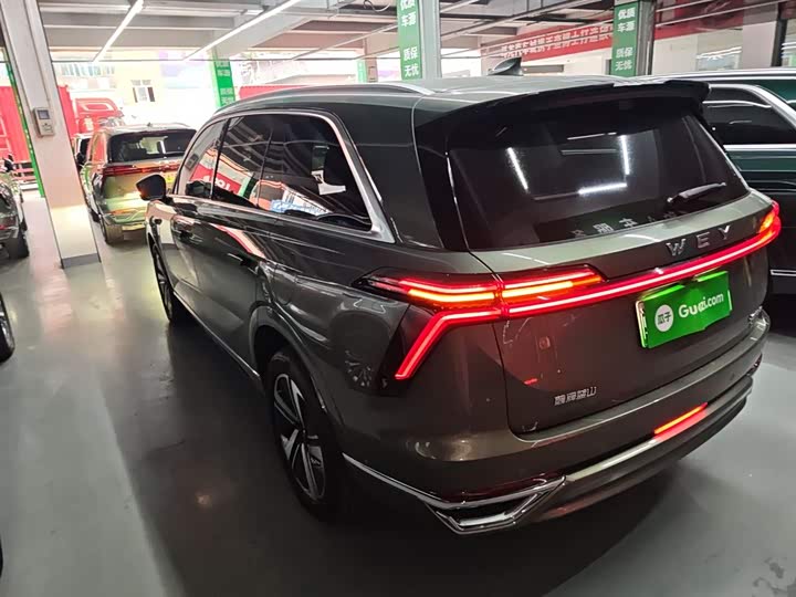 Фото 5 - Wey Lanshan