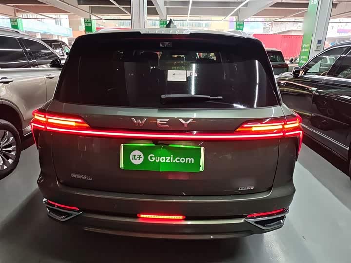 Фото 6 - Wey Lanshan