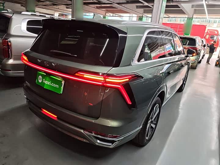 Фото 7 - Wey Lanshan