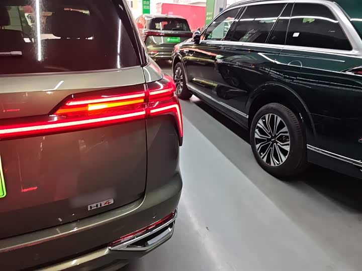 Фото 8 - Wey Lanshan