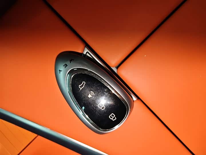 Фото 9 - Wey Lanshan