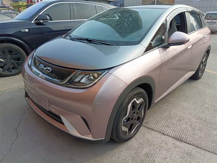 Фото 2 - BYD Dolphin