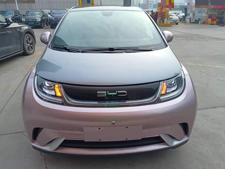 Фото 3 - BYD Dolphin