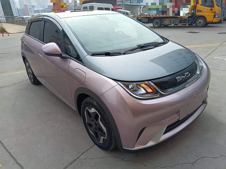 Фото 4 - BYD Dolphin