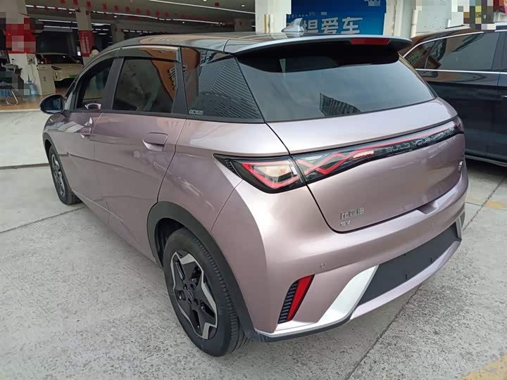 Фото 5 - BYD Dolphin