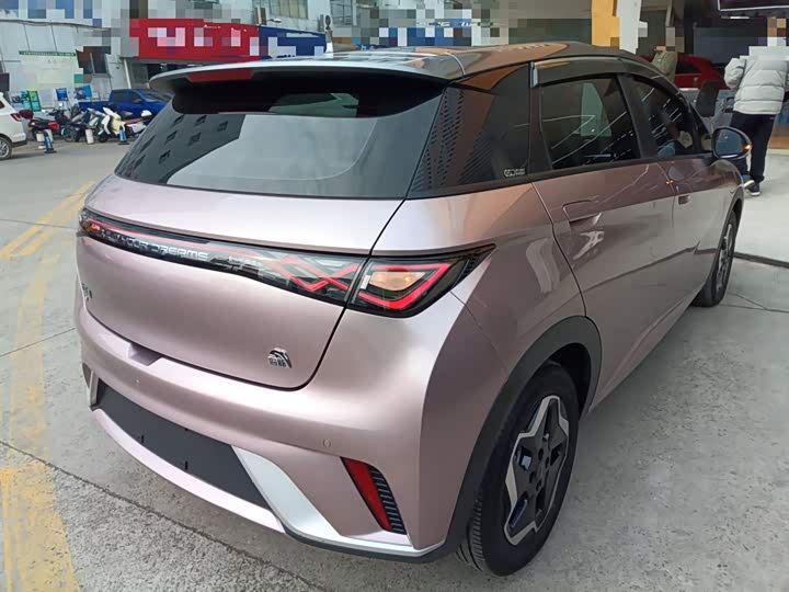 Фото 7 - BYD Dolphin