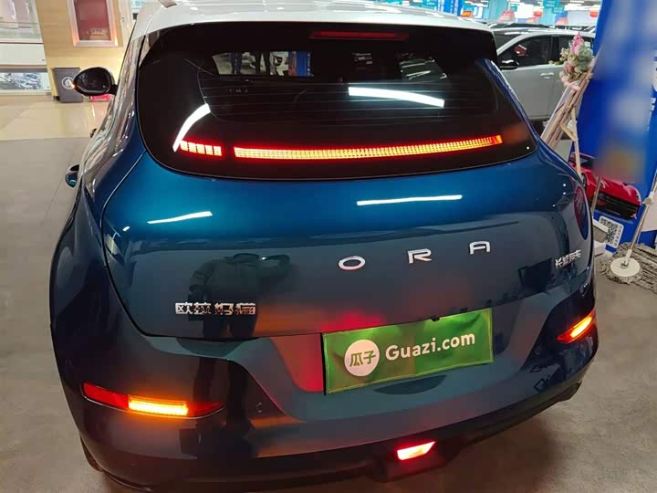 Фото 6 - Ora Good Cat (03)