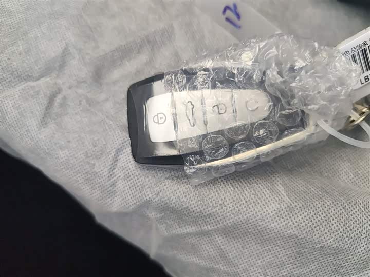 Фото 9 - Geely Atlas