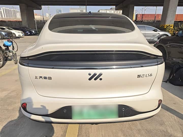 Фото 6 - IM motors LS6